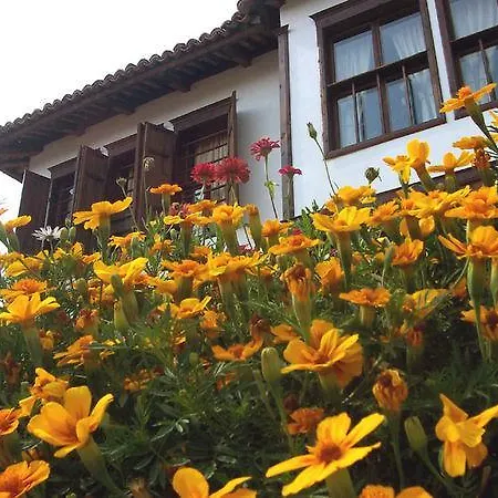 Pachilov House Vakantiehuis